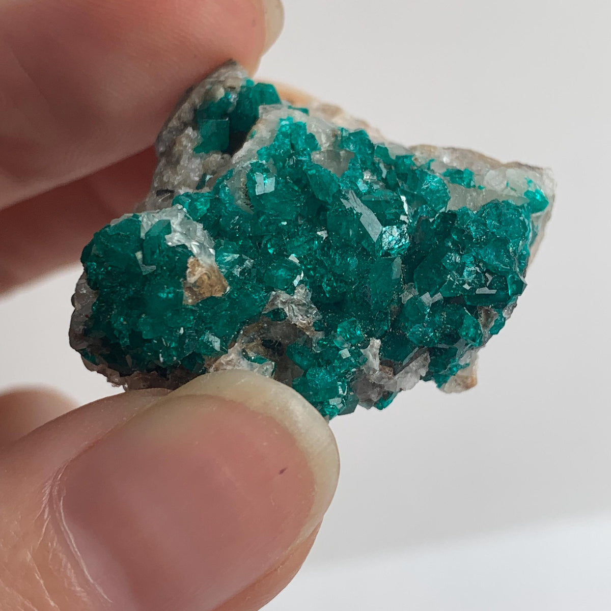 rare namibia dioptase cluster mineral specimen