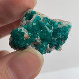 rare namibia dioptase cluster mineral specimen