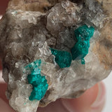 natural copper mineral dioptase specimen