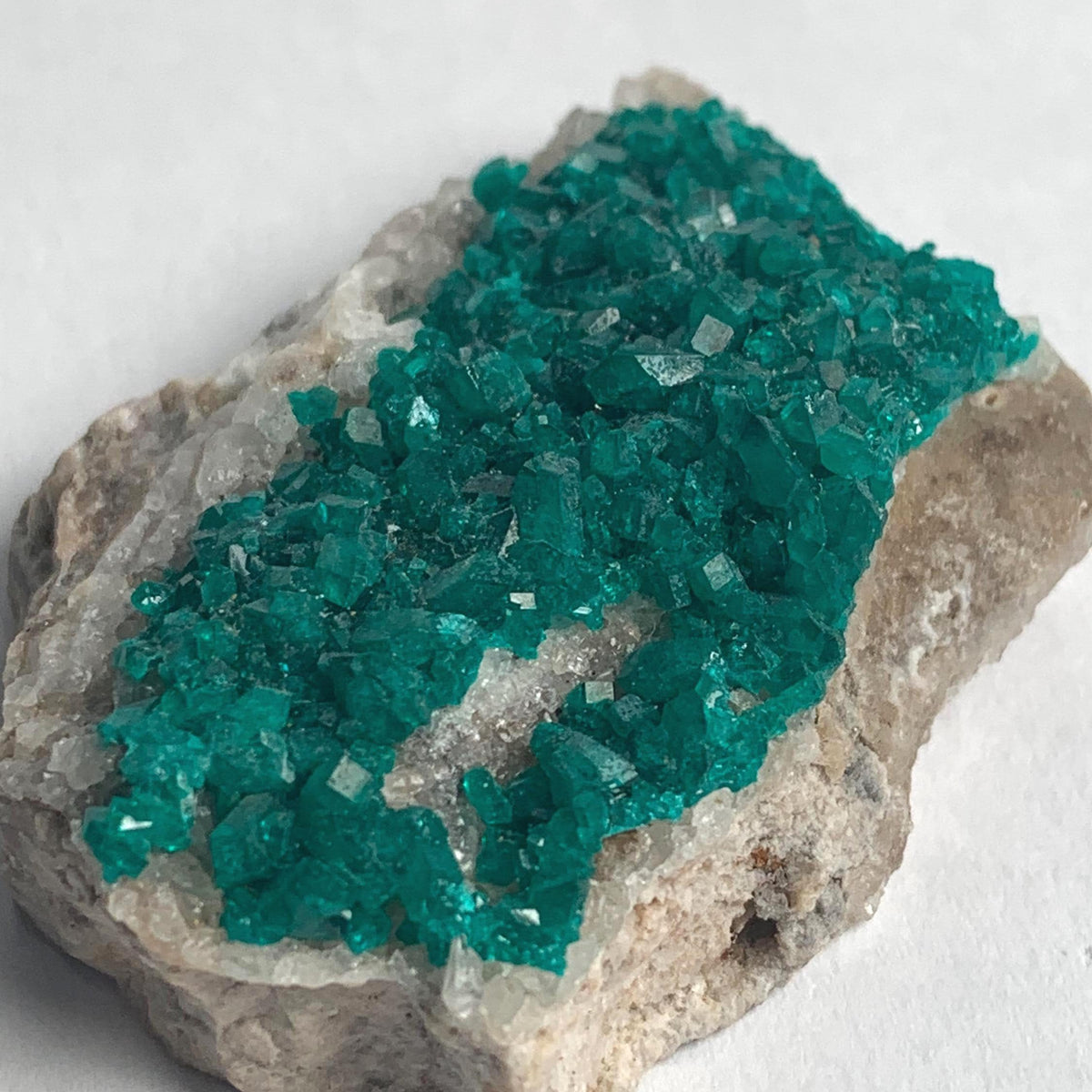collector grade dioptase crystals on rock matrix