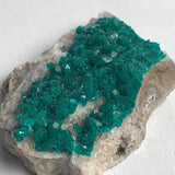 collector grade dioptase crystals on rock matrix