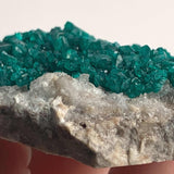 vivid emerald dioptase cluster cabinet specimen