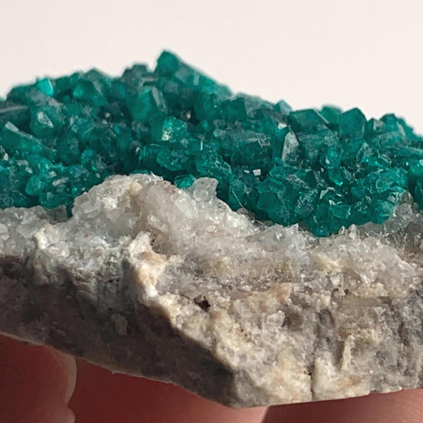 vivid emerald dioptase cluster cabinet specimen