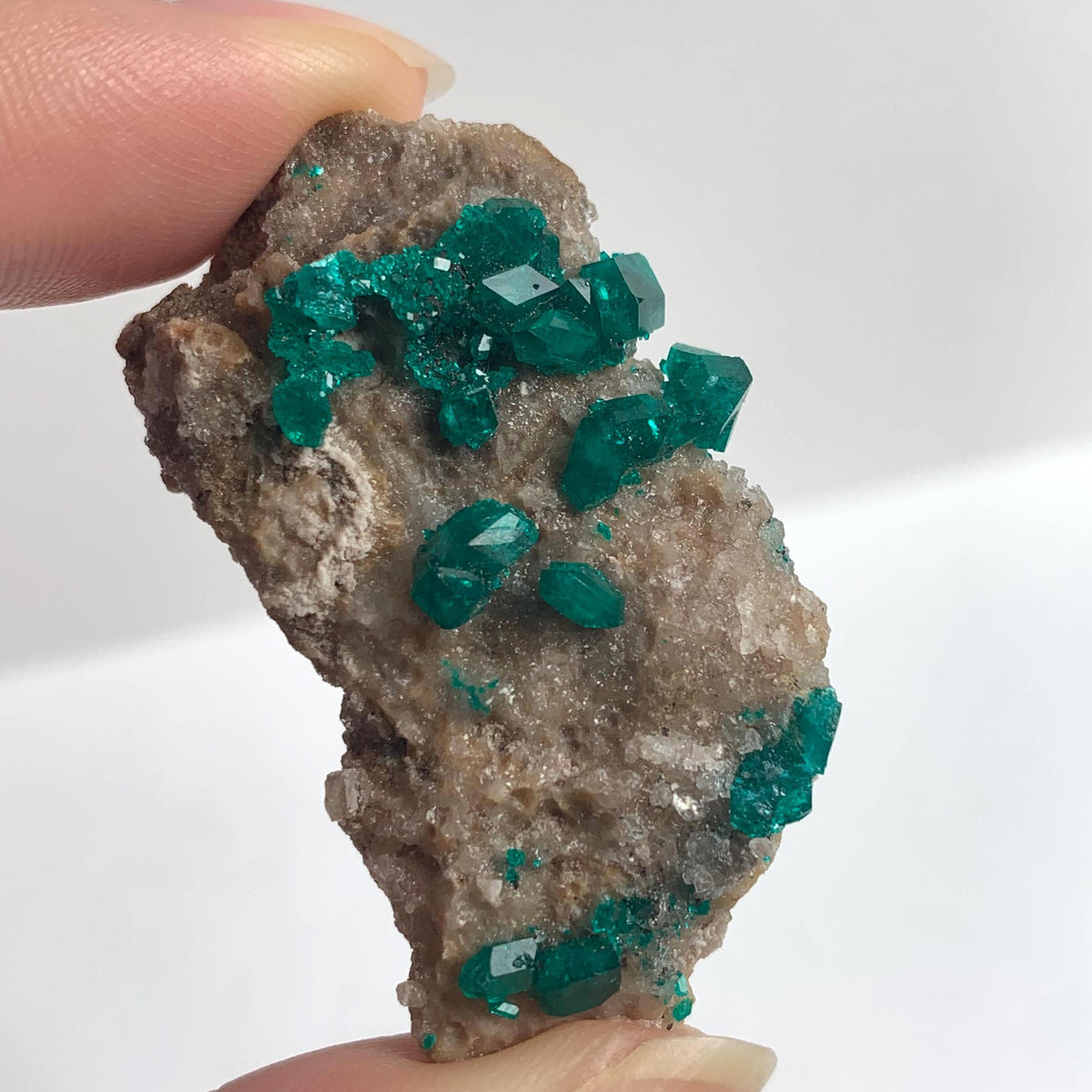 prominent dioptase crystals on matrix tsumeb mine