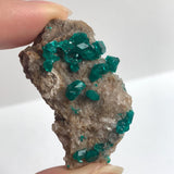 prominent dioptase crystals on matrix tsumeb mine