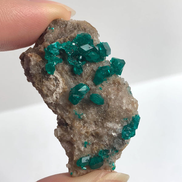 prominent dioptase crystals on matrix tsumeb mine