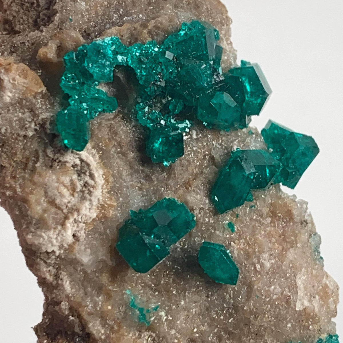 bright green dioptase crystal cluster on matrix
