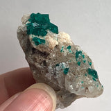 high color dioptase crystal formation tsumeb mine