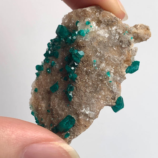 scattered dioptase crystals on matrix tsumeb mine