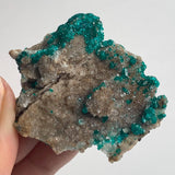 collector grade tsumeb dioptase crystal specimen