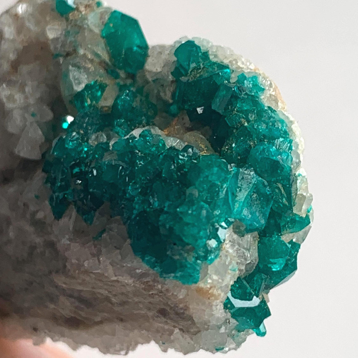 natural mineral specimen dioptase tsumeb mine