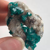 large crystal dioptase specimen tsumeb mine namibia
