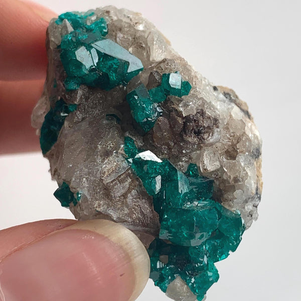 large crystal dioptase specimen tsumeb mine namibia