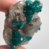 rare namibia dioptase with large crystals