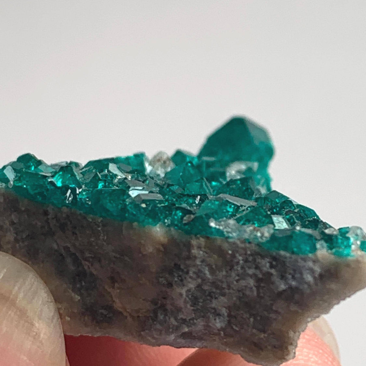 natural copper mineral dioptase crystal layer