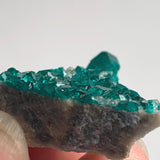 natural copper mineral dioptase crystal layer