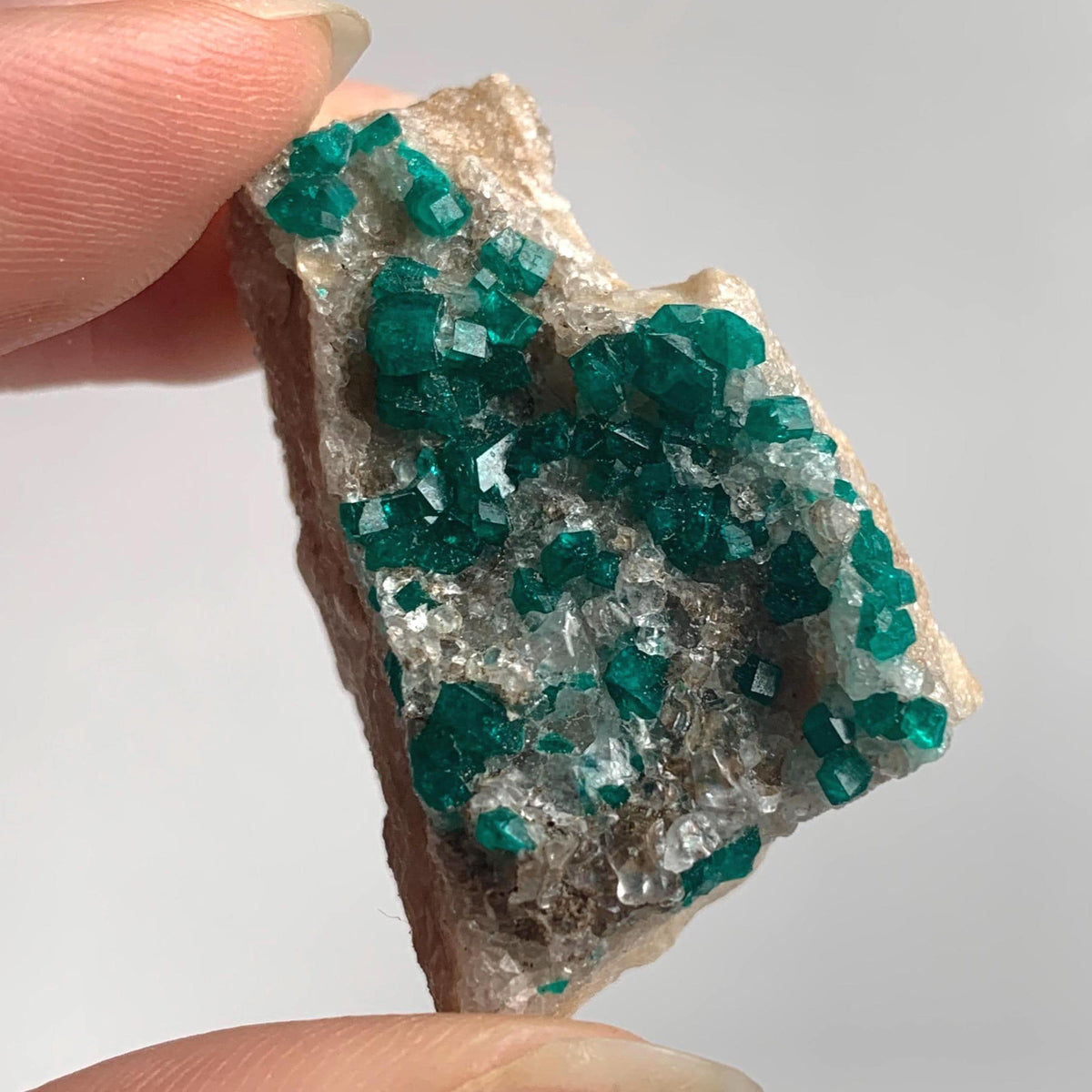 scattered dioptase crystals tsumeb mine namibia