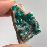 scattered dioptase crystals tsumeb mine namibia