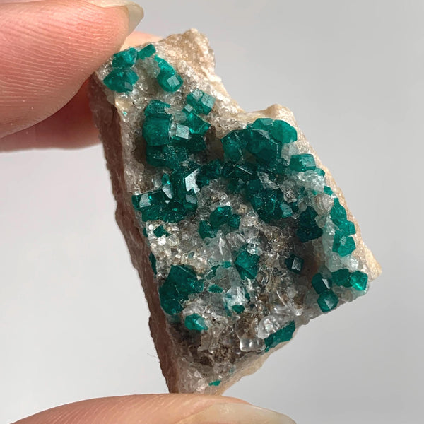 scattered dioptase crystals tsumeb mine namibia