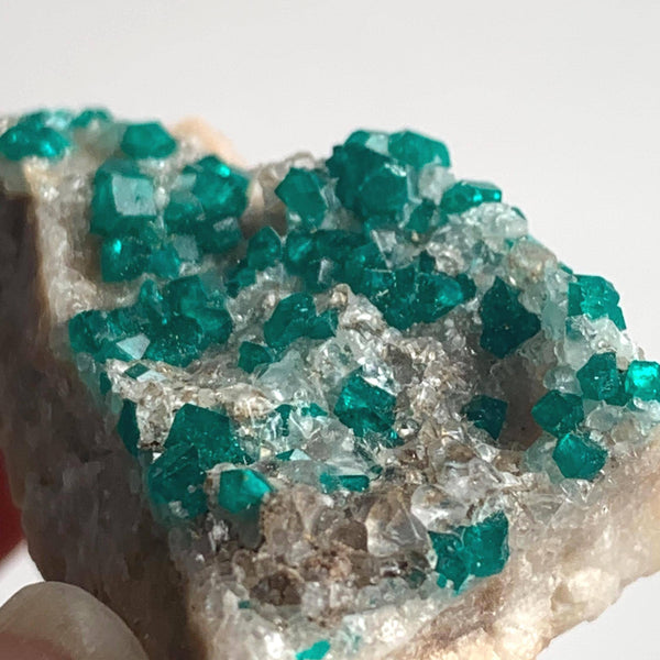 tsumeb mine dioptase crystal distribution piece