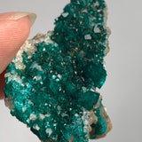 fully crystallized dioptase matrix tsumeb mine namibia