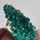 tsumeb mine dioptase fully covered crystal surface