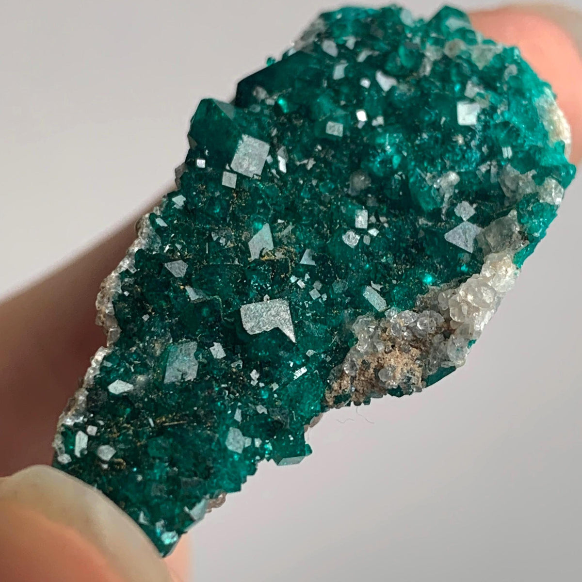 Tsumeb Dioptase Specimen – Emerald Green Crystallized Matrix, Namibia Collector Mineral Cabinet Display Piece, D13