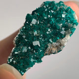 Tsumeb Dioptase Specimen – Emerald Green Crystallized Matrix, Namibia Collector Mineral Cabinet Display Piece, D13