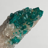 vivid green dioptase crystals on rock matrix
