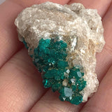 rare emerald dioptase crystal cluster rock