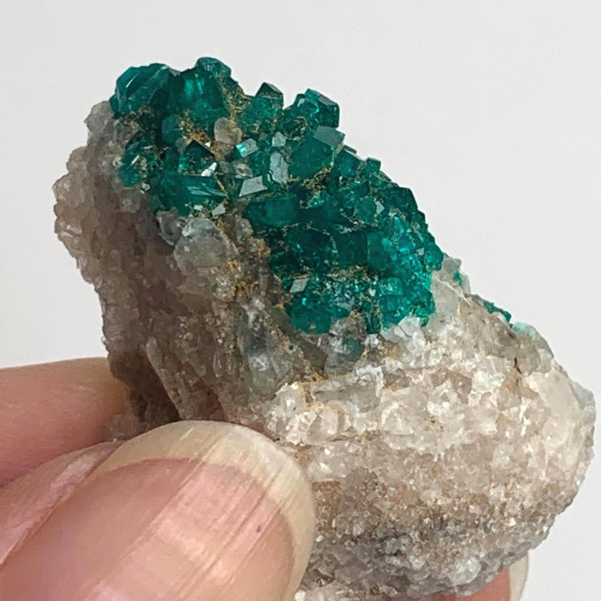 natural mineral specimen dioptase tsumeb mine