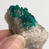 natural mineral specimen dioptase tsumeb mine