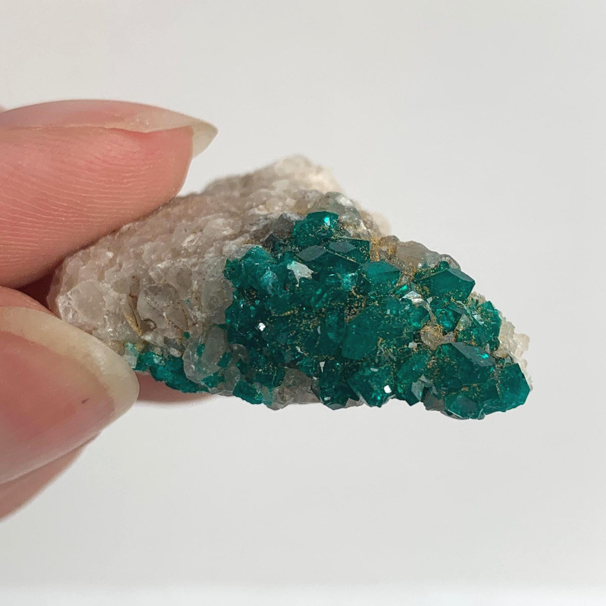 close up of collector grade dioptase specimen