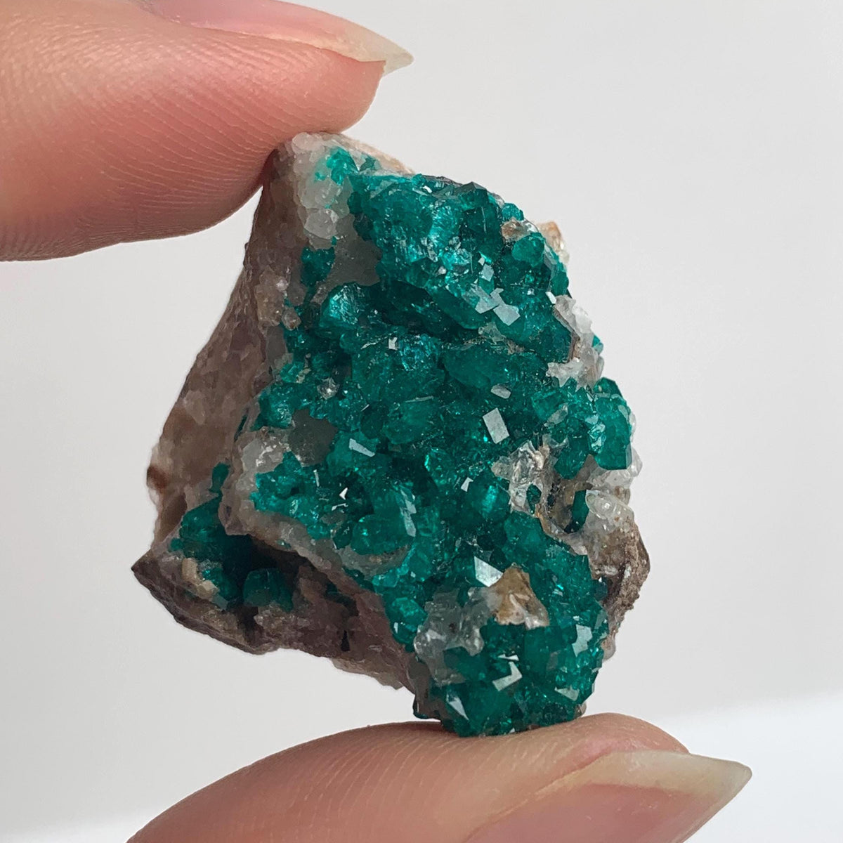 tsumeb dioptase cabinet mineral display specimen