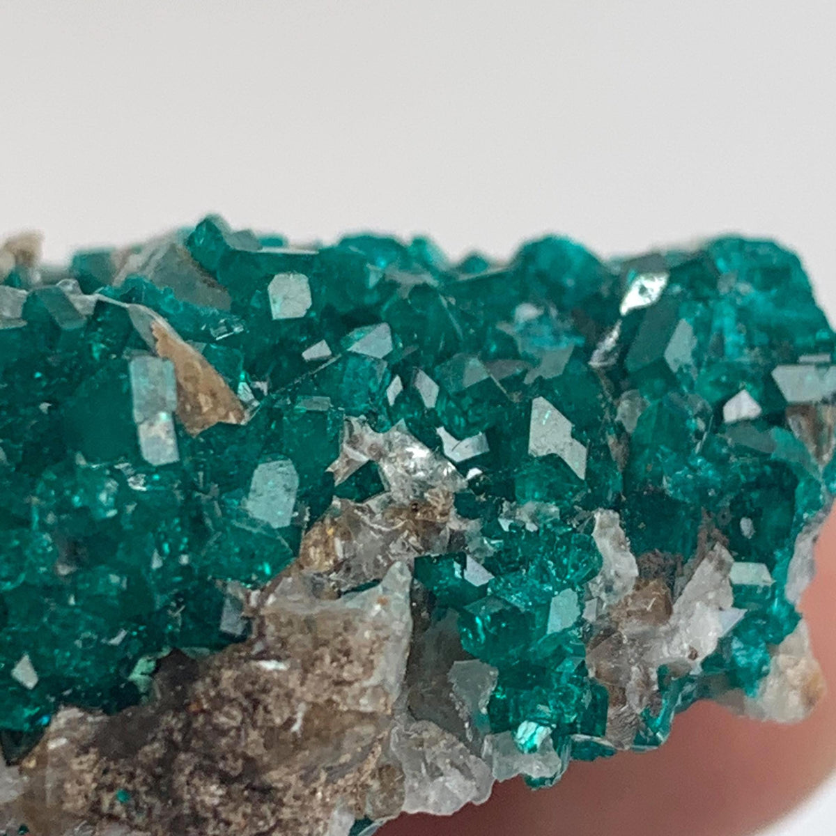 natural mineral specimen dioptase tsumeb mine