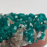 natural mineral specimen dioptase tsumeb mine