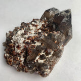Garnet with smoky quartz on matrix Pakistan mineral specimen
