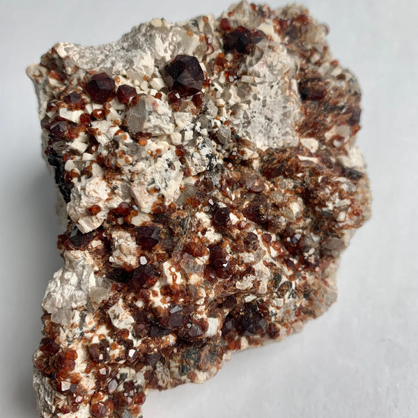 Large garnet crystal cluster on matrix Pakistan specimen