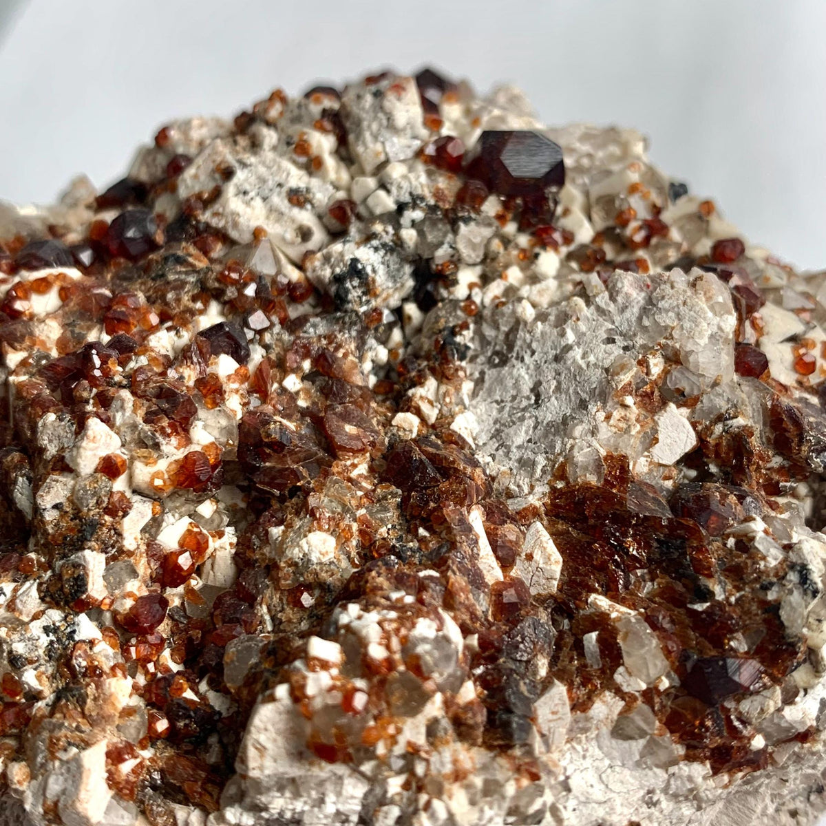 Collector garnet on matrix geological specimen