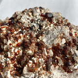 Collector garnet on matrix geological specimen