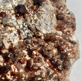 Natural garnet crystals emerging from rock matrix