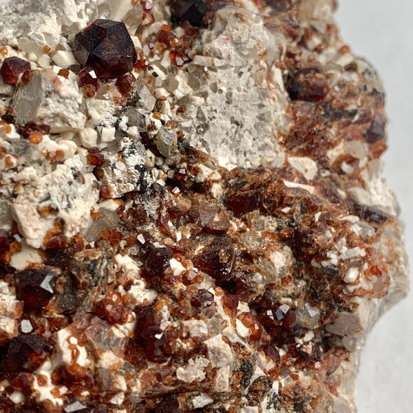 Natural garnet crystals emerging from rock matrix