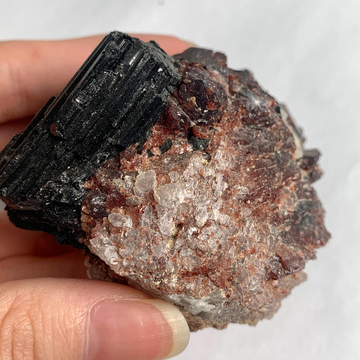 Pakistan garnet tourmaline collector mineral display