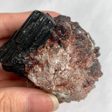 Pakistan garnet tourmaline collector mineral display