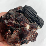 Black tourmaline with garnet natural mineral display