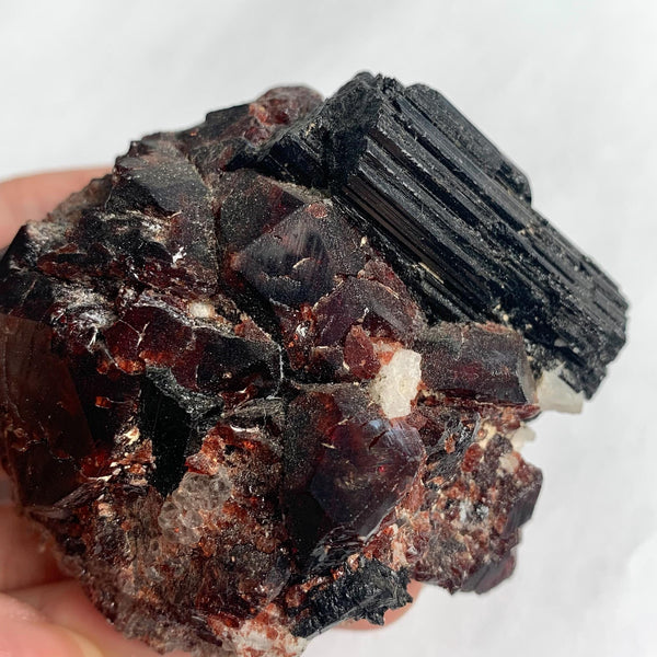 Black tourmaline with garnet natural mineral display