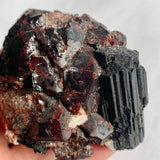 Collector specimen garnet and tourmaline crystal cluster
