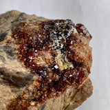Large garnet crystal cluster on matrix Pakistan specimen