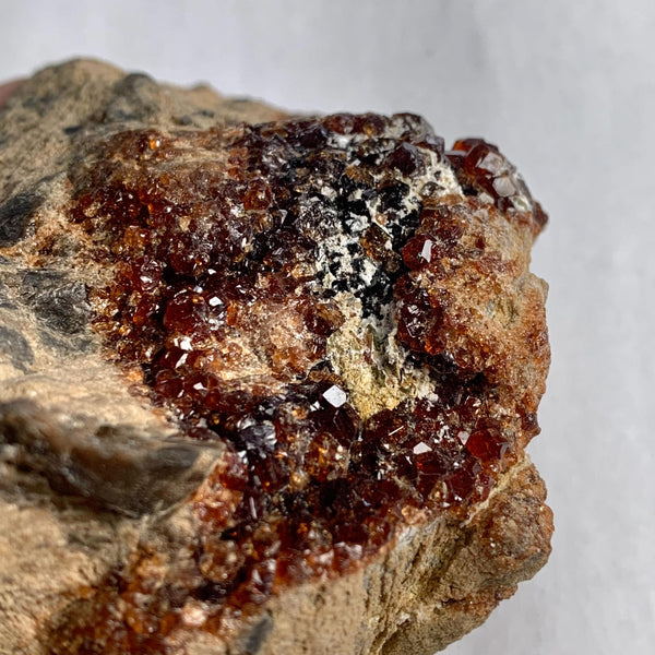 Large garnet crystal cluster on matrix Pakistan specimen