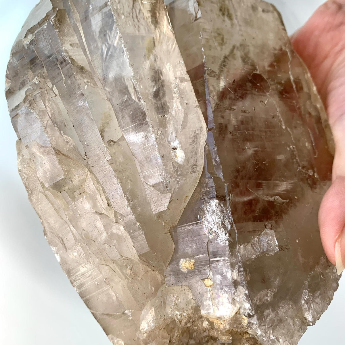 large smoky quartz collector specimen